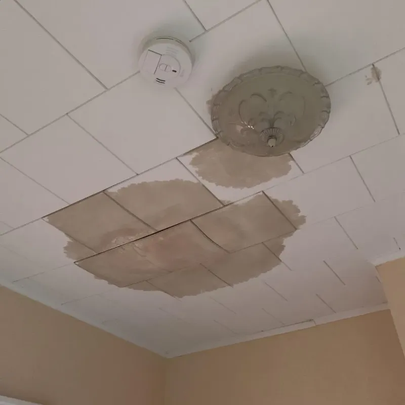 Ceiling Water Damage Repair in Moore County, TX