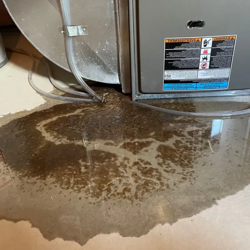 Pipe Burst and Leak Restoration in Moore County, TX